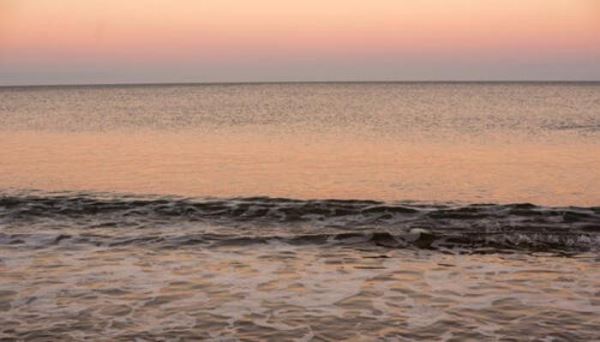 Закисление океана в прибрежных районах заметно ускорилось