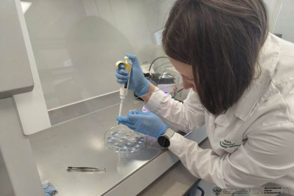 Самоочищающуюся ткань разрабатывают в Сибири