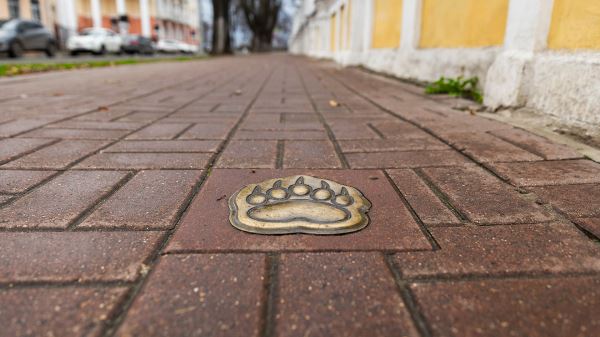 Трехдневный маршрут длиной в&nbsp;1000 лет: автопутешествие из&nbsp;Москвы в&nbsp;Ярославль