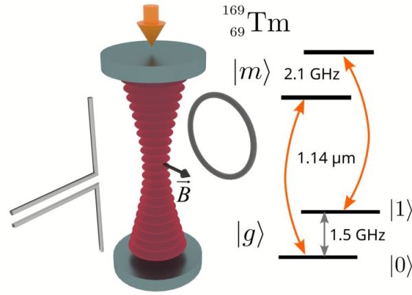 Новый тип атомов для создания квантовых компьютеров с долговременной памятью предложили в ФИАН