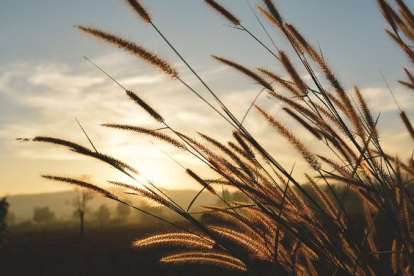 КМУ: университеты в партнерстве с бизнесом выступают драйверами прогресса