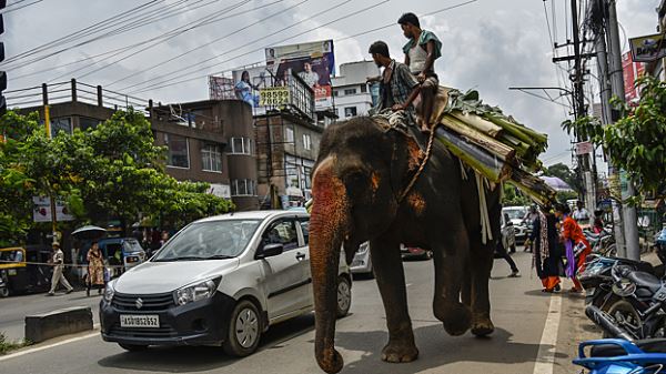 Альтернатива Китаю: 10&nbsp;дешёвых авто из&nbsp;Индии, которые не&nbsp;затронет новый утильсбор