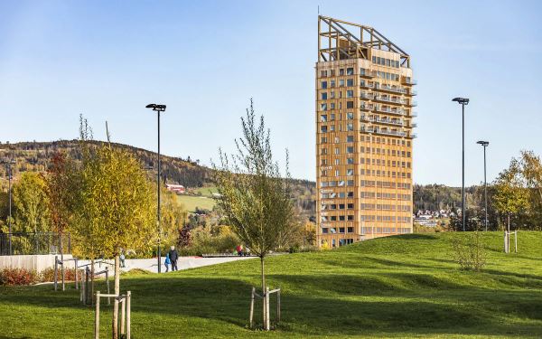 На рынок выходит супердревесина, которая в 10 раз прочнее и в 6 раз легче стали