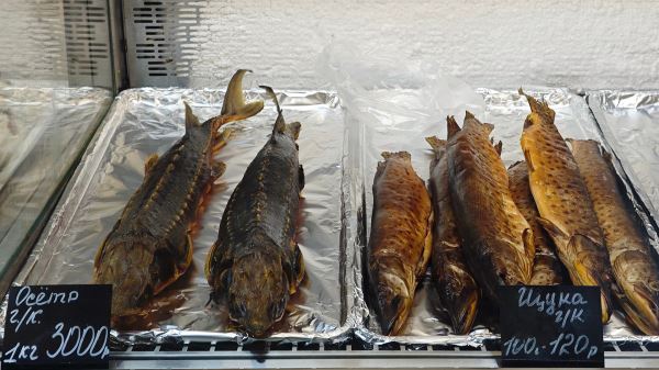 По&nbsp;следам великих: автопутешествие из&nbsp;Москвы за&nbsp;духом уездного города