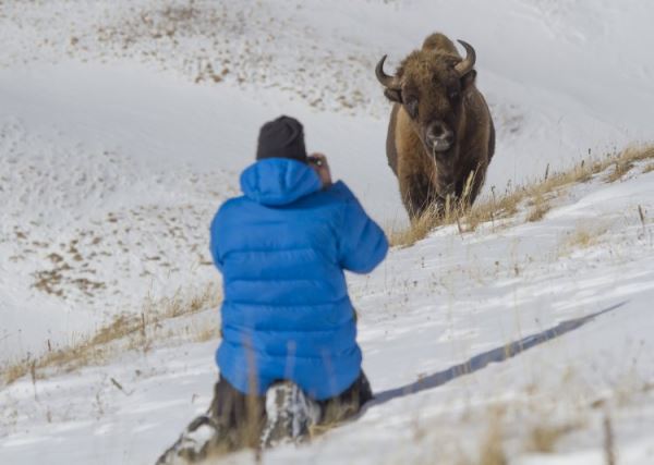 &laquo;В Приэльбрусье происходит настоящая вакханалия&raquo;