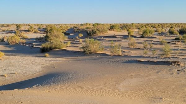 Ученые исследовали осушенное дно Аральского моря