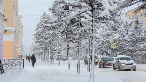 Тарифный коридор ОСАГО расширят с&nbsp;9&nbsp;декабря: для кого подорожают полисы